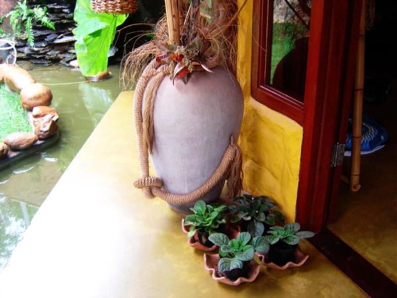Pousada Bambu Brasil Sao Jorge  Exterior photo